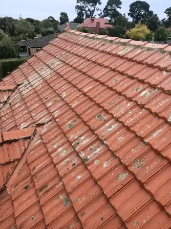 Roof restoration for terracotta tiles before restoration started by Dave's Roof Services